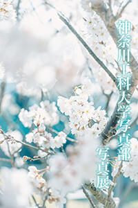 写真展ポスター