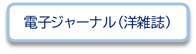 電子ジャーナル(洋雑誌)
