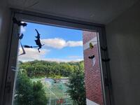 出窓